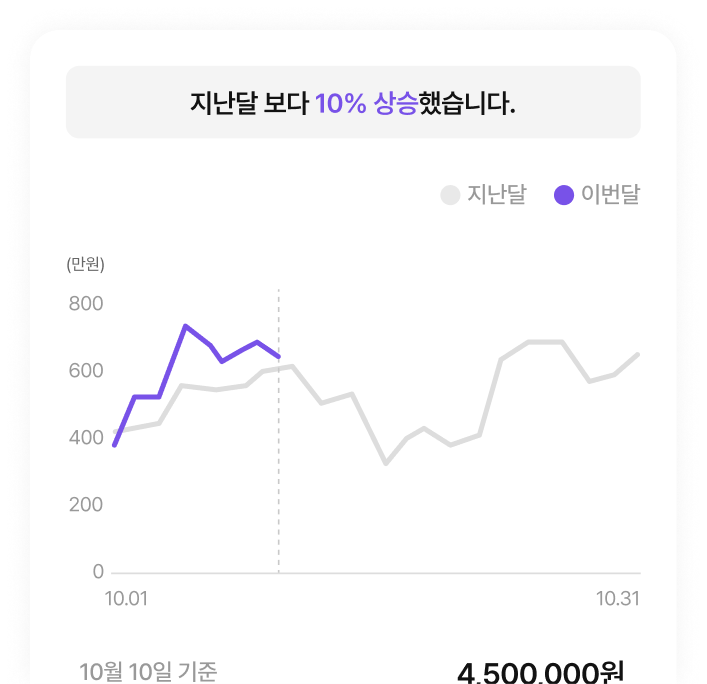 이번달 매출/지출